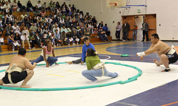 sumo demo @ university high