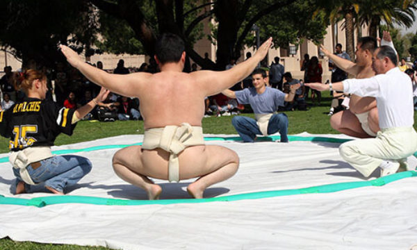 csun sumo demo