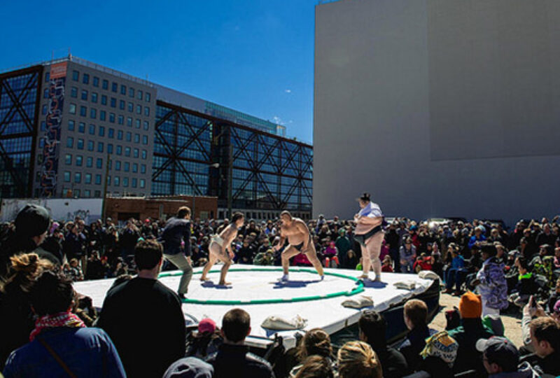 sumo event