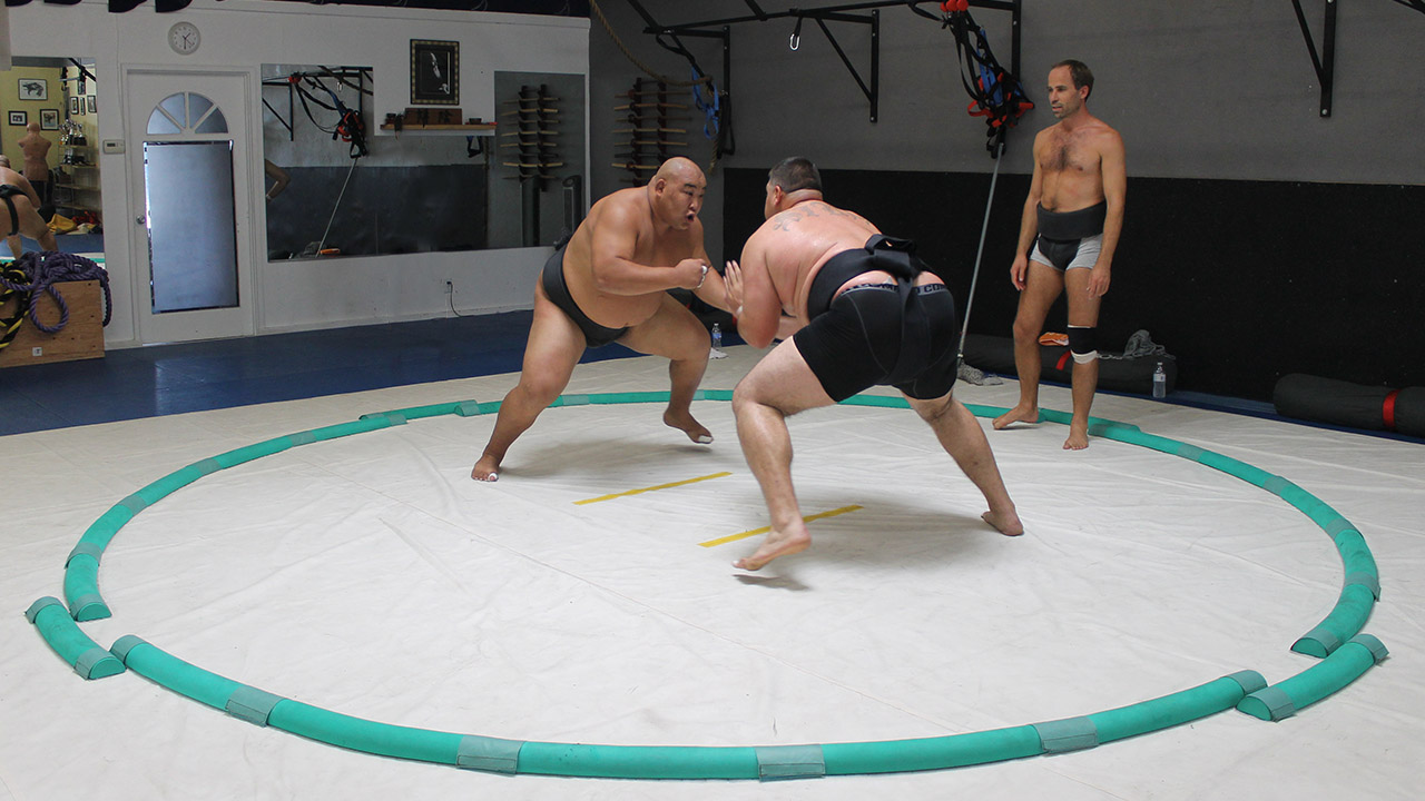 sumo wrestling gear
