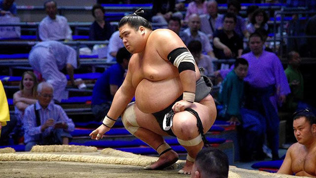 Japanese Pro Sumo