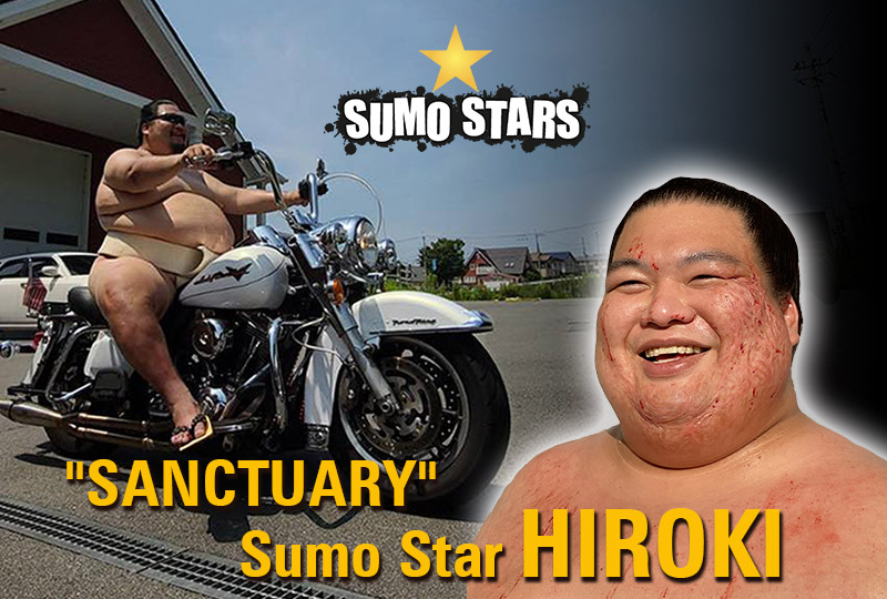 sumostars03.800